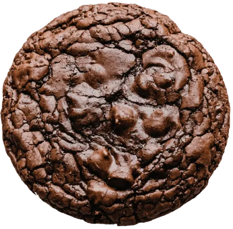 Brownie Batter Cookie