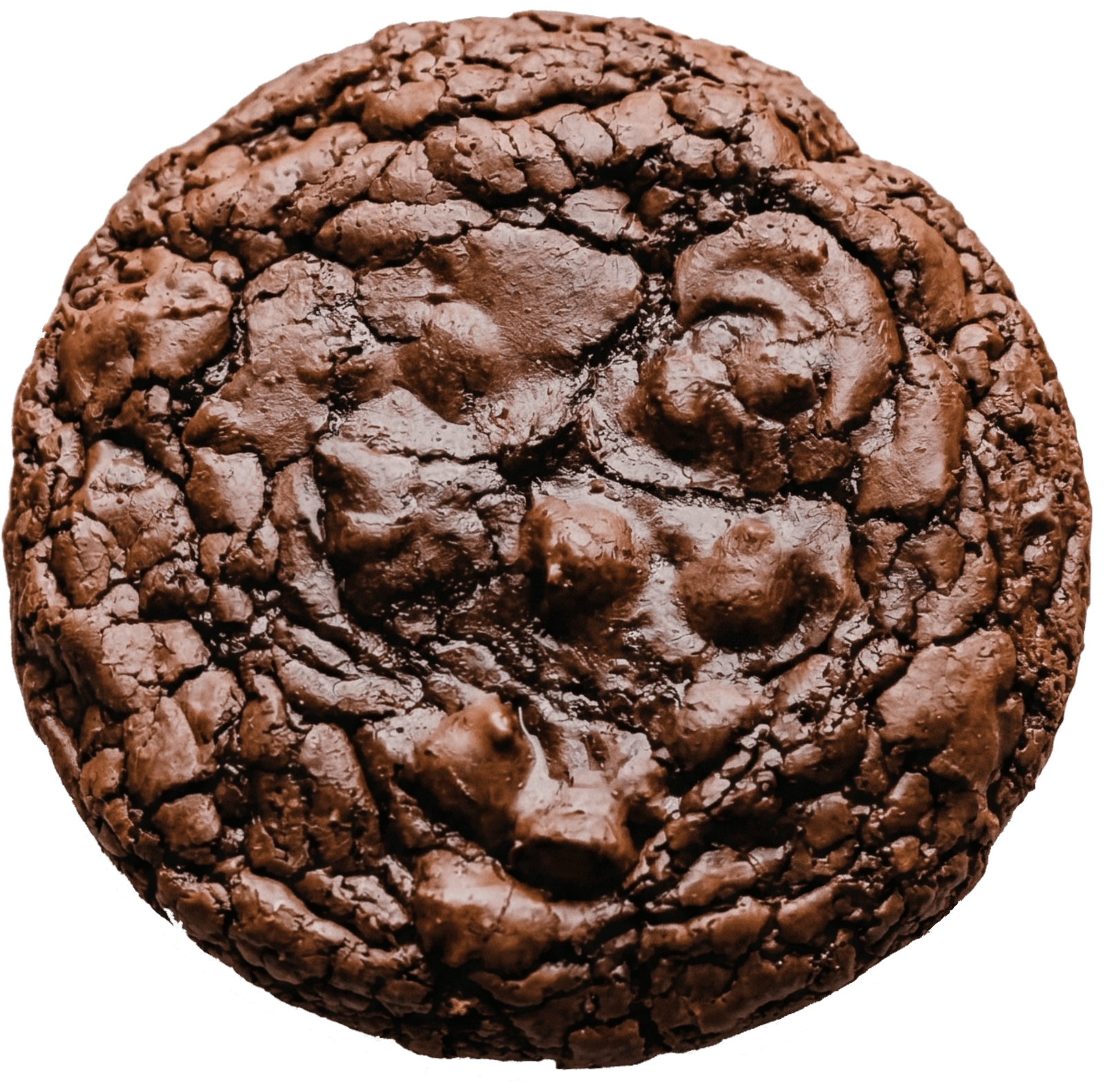Brownie Batter Cookie